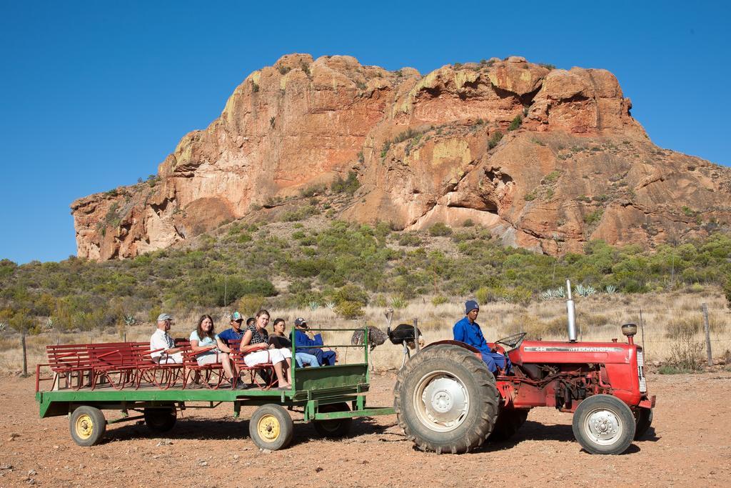 Vila Red Stone Hills Buffelskloof Exteriér fotografie