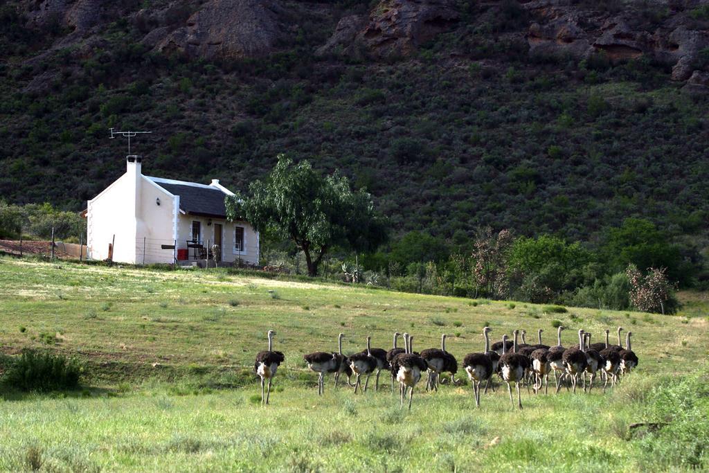 Vila Red Stone Hills Buffelskloof Exteriér fotografie